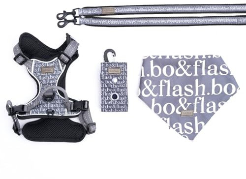 bo&flash Hundegeschirr Set Boston mit robuster Leine – Bequemes Brustgeschirr für unterwegs – 4 tlgs. Atmungsaktives Zuggeschirr mit charmantem Halstuch für mittelgroße Hunde – Dark Grey – M