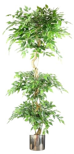 Leaf Realistischer künstlicher japanischer Fruticosa-Ficus-Baum mit Metall-Pflanzgefäßen, Grün, 180 cm