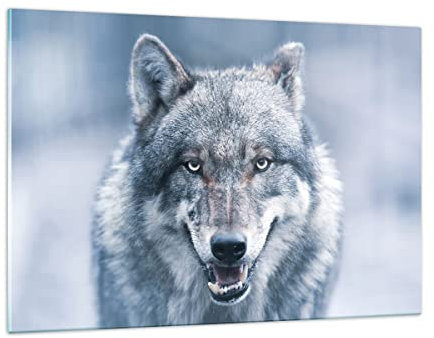 Wandbilder Dekoration Wohnzimmer Wolf Raubtier Wildheit Bilder auf Glas 120x80cm Glasbild Schlafzimmer Küche Deko Wand Kunstdruck Art Groß XXL Wanddeko Bild im Glas Modern Wall Decor GAA120x80-5073