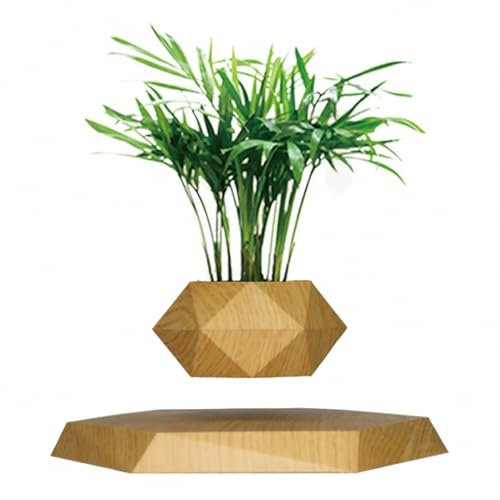 MAOTN Piante in vaso a levitazione magnetica intelligenti per camera da letto, ornamenti per vasi di fiori galleggianti creativi, possono sopportare 200 g di piante in miniatura,Style2,Size