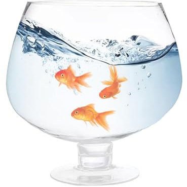 Whnbuij Calice da vino gigante – bicchiere da birra sciolto foto cocktail bicchiere tradizionale birra resistente per bevande in contanti GIF