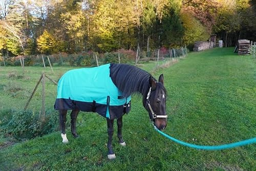 Regendecke Pferdedecke mit Halsteil 115, 125, 135, 145, 155 & 165 Outdoordecke 1200 Denier (Blaugrün, 145 cm)
