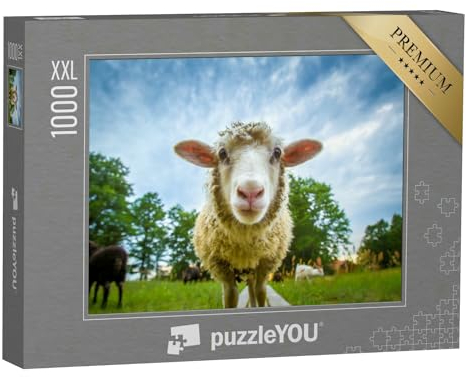 Puzzle 1000 Teile XXL „Auge in Auge mit einem Schaf“ – aus der Puzzle-Kollektion Schafe & Lämmer