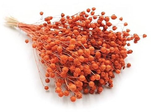 Enchanted Dekogras Getrocknetes Gras Flachs Ziergras Leinen Trockenblumen Natürlich Boho 80 Stück Orange