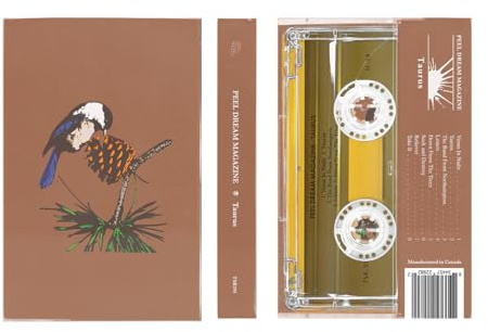 TOPSHELF RECORDS