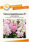Blumensamen Twinny Appleblossom Löwenmäulchen Portion