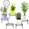 YOUEON 5 Pack Metal Plant Stands, 9 Inch Round Plant Stands Outdoor, Heavy Duty Flower Pot Stands Rustproof Planter Holder for Indoor & Outdoor, Garden Decor, Black