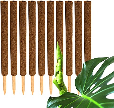 BigDean 10er Set Pflanzstäbe Kokos 60 cm - Monstera Rankhilfe Rankstäbe Stab Moosstäbe Pflanzenstäbe Kokosstäbe für Pflanzen - aus natürlicher Kokosfaser - verlängerbar
