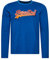 Superdry Vintage Vl Seasonal Long Sleeve T-Shirt S Blue
