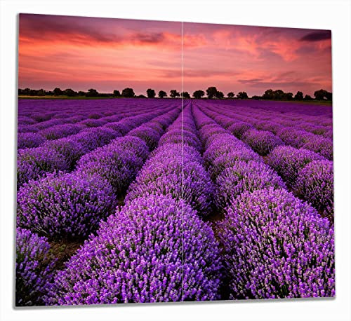 Wallario Herdabdeckplatte/Spritzschutz aus Glas, 2-teilig, 60x52cm, für Ceran- und Induktionsherde, Lavendelfeld unter rotem Himmel