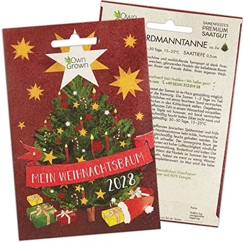 Nordmanntanne zum Pflanzen: Premium Samen für 5x Nordmanntanne – Tannenbaum für Garten – Nordmanntanne Samen – Saatgut v. OwnGrown