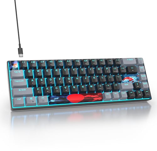 SOLIDEE 65% Teclado mecánico para juegos,68 teclas con interruptores rojos lineales,Luz azul hielo,Teclado mecánico con cable con retroiluminación LED,ergonómico para PS5/PS4/Xbox(68 Dark)