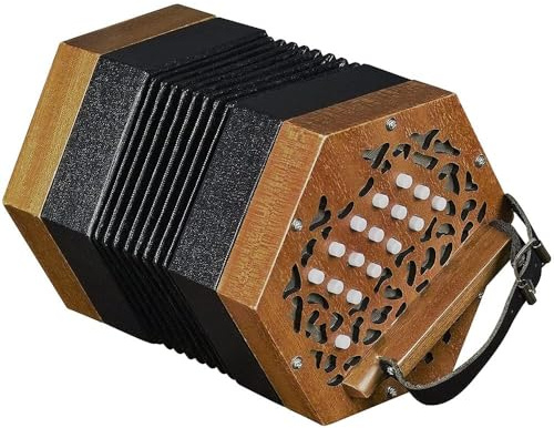Ziehharmonika-Akkordeon mit 30 Tasten, für Erwachsene und Anfänger, Handklavier Stil mit Tragetasche, verstellbarem Gurt, tragbares Musikinstrument, Lernen und Üben