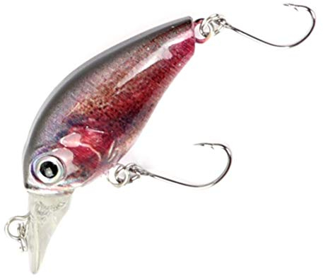 Major Fish Forellen Barsch Wobbler Crankbait 38 mm Regenbogenforelle