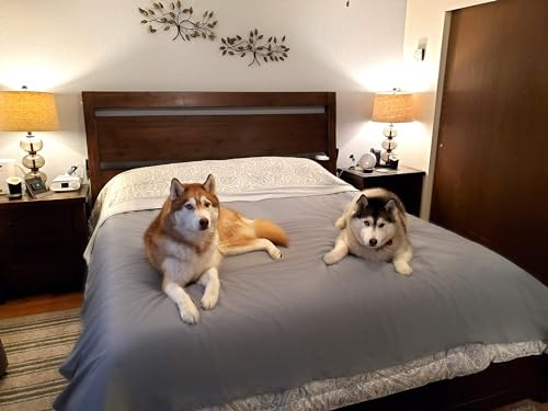 SILLY LEGACY Copertura Protettiva Sottile Reversibile Impermeabile (Letto Singolo, 229 x 140 cm), Fodera per Letto o Divano per Animali Domestici - incontinenza, urina, peli, Sporco