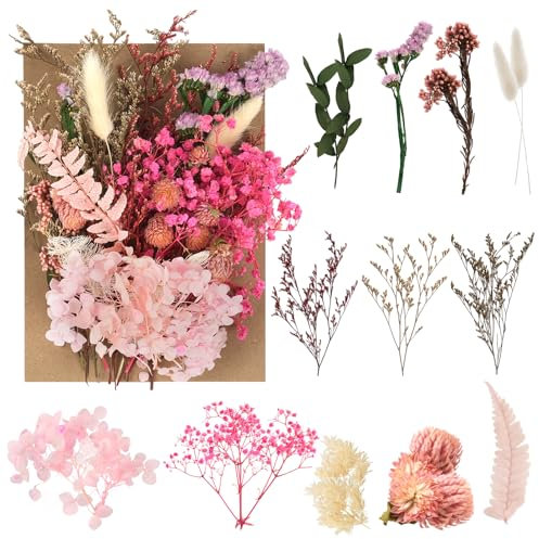 AMFUN Natürliche getrocknte Blumen, Trockenblumen Zum Basteln, Getrocknete Blumen, Trockenblumen für Kunst DIY Harz Scrapbooking Handwerk Karten Machen