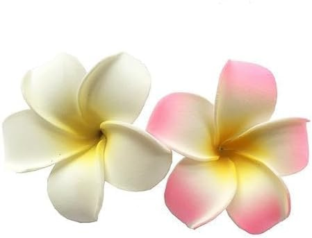 Hawaiianische Frangipani-Plumeria-Clips und Haarspangen, Schaumstoffkopf, Blume, Party, Strand, Haarschmuck, 2 Stück, 7 cm, Weiß und Rosa