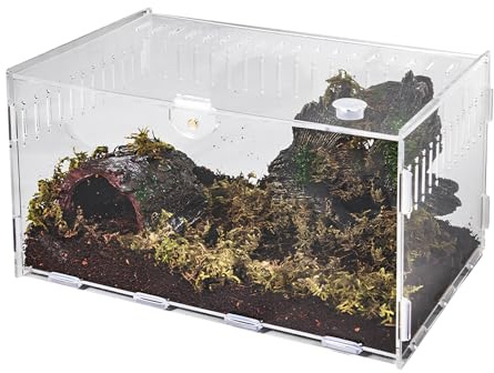 Schnecken Terrarium, Reptile Growth Mini Terrarium, Insekten-Terrariums Set, Transport Box für Spinnen Gecko Hamster Schlangen Schildkröten Tragbarer (30 x 20 x 15cm)