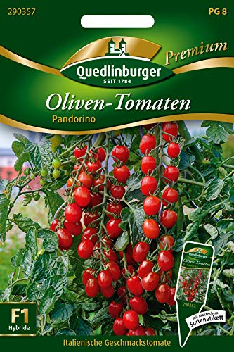 Quedlinburger 290357 Oliventomaten Pandorino (Oliventomatensamen)
