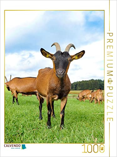 CALVENDO Puzzle Bunte deutsche Edelziegen, liebenswerte Sturköpfe 1000 Teile Puzzle hoch | Lege-Größe cm Foto-Puzzle für glückliche Stunden