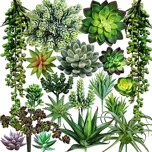 Winlyn 19 plantas suculentas artificiales variadas, sin maceta, pequeñas y verdes, para colgar suculentas, suculentas de cactus falsos, a granel para suculentas jardín, centro de mesa, arreglo de