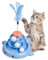 Dirfuny Katzen-Kugelstrecke, mehrschichtige Plattenspieler mit Feder, bunte abnehmbare Puzzle-Spielzeuge mit Katzen-Teaser für Übung, lustig
