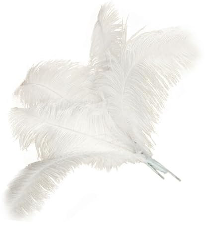 200 Stück Federn Zum Basteln,Weiße Federn Zum Basteln,Dekorative Weihnachten,Girlanden-Dekoration,Basteln DIY-Federn,Heim-Hochzeit Dekorationen,Hochzeits-DIY-Bastelarbeiten,ZubehöRherstellung