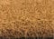 Grandismo Premium Coir Entrance Matting - Indoor/Outdoor - 1m or 2m Width - Cut To Size - Heavy Duty Tough Fibres - Hallway, Foyer, Lobby,Reception, Door Mat, Roll (2metre, 1.5m)