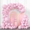 Palloncini Rosa Pastello BIQIQI 113pcs Guirlande De Ballons Rosa Palloncino, Palloncini Compleanno Decorazione Rosa, BabyShower Battesimo Decorazioni Matrimonio, Palloncini 18 12 10 e 5 Pollici