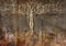 decomonkey Fototapete Abstrakt Baum 400x280 cm Tapete Fototapeten Vlies Tapeten Vliestapete Wandtapete moderne Wand Wandbild Schlafzimmer Wohnzimmer Beton Braun