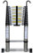 HUIYOPU Telescopic Ladder 4.9M/16FT, Aluminium Loft Ladder Extendable with hooks and stabiliser, Max Load 150kg/330lb, Adjustable Step, Used for Daily Maintenance, Building, Camping, etc.