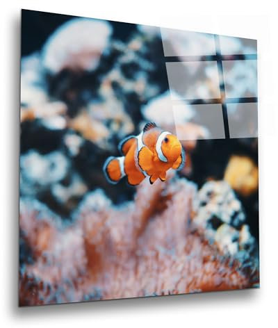 INDIGOS UG Luxus Glasbild - Fisch Unterwasser - 60x60 cm - ESG Echtglas bedruckt - Glasdruck - Wohnzimmer, Küche, Schlafzimmer, Badezimmer - Geschenk - Deko, Wandbild