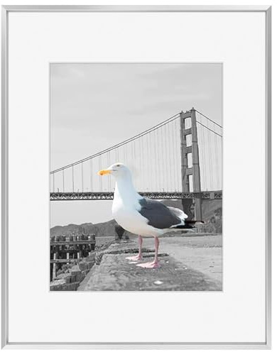 Frametory, 16x20 Aluminum Photo Frame with Ivory Color Mat for 11x14 Picture & Real Glass, Metal Picture Frame Collection (Silver, 1-Pack)
