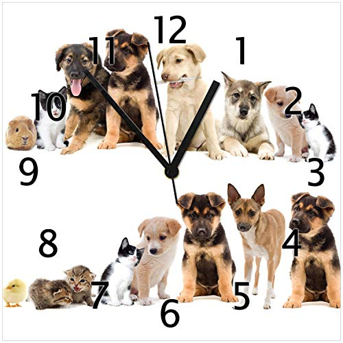 Wallario Design-Wanduhr Süße Haustiere - Katzen Hunde Hamster Küken aus Glas, Motiv-Uhr Größe 30 x 30 cm, Schwarze Zeiger