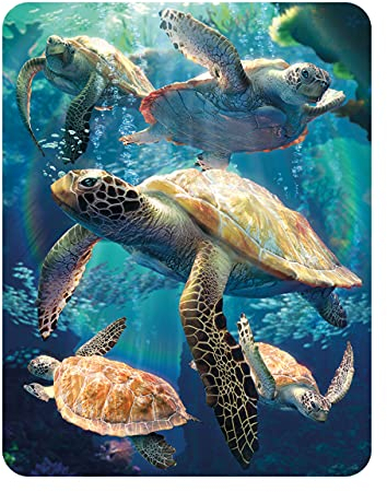 3D LiveLife Magnet - Sea Turtle Swim from Deluxebase. Lenticular 3D Ocean Fridge Magnet. Magnetic decor for kids and adults with artwork licensed from renowned artist, David Penfound