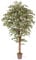 artplants.de Deko Ficus Benjamini Linette, Naturstämme, grün-weiß, 200cm - Made in Italy - Kunstficus