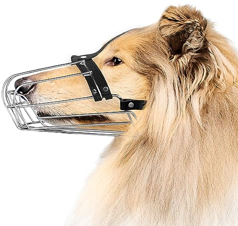 BRONZEDOG Drahtkorb Hund Maulkorb Metall Hund Maulkorb Leder verstellbar (Size 8: Greyhound & Collie)