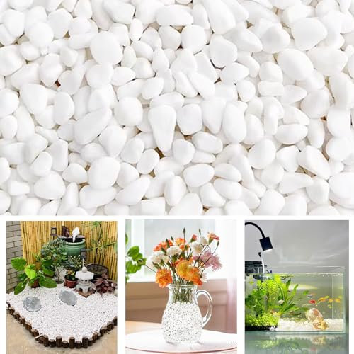 White Decorative Stones 1-2 cm Natural Gravel Rocks for Plant Pots, Small River Rocks, Natural Gravel Rocks for Plant Pots for Landscaping Vase Fillers Succulents Aquarium and Garden Decoration 1000g