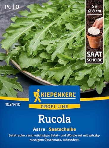 Kiepenkerl Rucolasamen Astra 1024410, Gemüsesaat