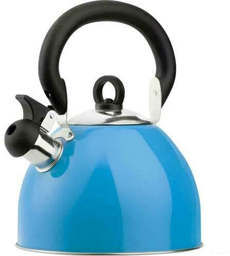 DWD ® Whistling Stainless Steel 2.5 Litre Travelling Kettle I Folding Handle I Flip & Pour Spout Cap I Camping Fishing Caravan Holiday Home I Retro Classic Lightweight (Sky Blue)
