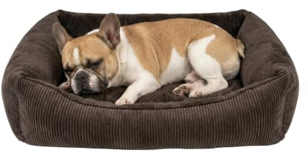 Petlando Hundebett orthopädisch, Like Ortho Luke, Braun, S, 80x60x25cm | Für kleine Hunde, ergonomisch, rutschfest, stabiler Rand, waschbarer Bezug, Schaumstoffkern mit 3D-Noppenstruktur