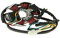 Lichtmaschine 28017 Stator für 80W für Derbi Senda, Aprilia RX, SX, Gilera RCR, SMT