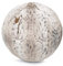 Sitting Ball Skins Flauschiger Sitzball, ergonomisch Sitzen im Büro & Zuhause, 65 cm Ø, Gymnastikball mit Fellimitat, Fitnessball mit Tragegriff, 30°C waschbar, Schneeluchs