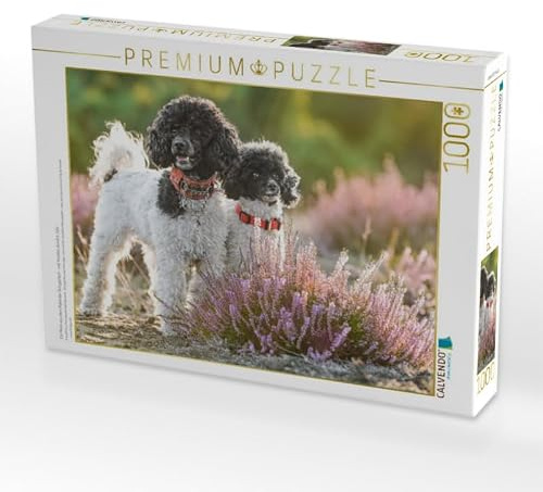 CALVENDO Puzzle EIN Motiv aus dem Kalender Gut geplant - mit Hunden durch´s Jahr | 1000 Teile Lege-Größe 64 x 48 cm Foto-Puzzle für glückliche Stunden
