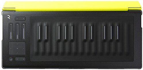 Roli Flip Case Lime for Seaboard Rise 25