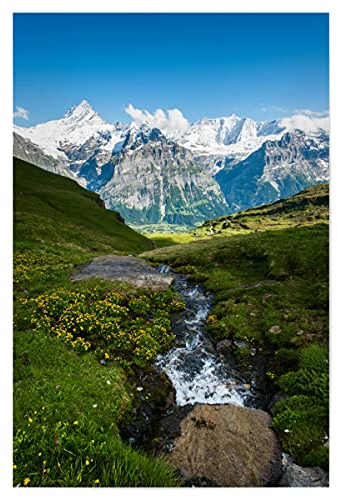 artboxONE Poster 30x20 cm Natur View from Grindelwald First - Bild First Creek fiescherhorn