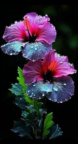 Hibiskus Rhizome,Hibiskus Pflanzen,Winterhart,Winterhart MehrjäHrig,Hibiskus,Vier-Jahreszeiten-Pflanzen,Hibiscus Pflanzen,Magische Blume