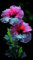 Hibiskus Rhizome,Hibiskus Pflanzen,Winterhart,Winterhart MehrjäHrig,Hibiskus,Vier-Jahreszeiten-Pflanzen,Hibiscus Pflanzen,Magische Blume