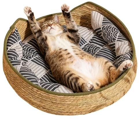 Korg För Katt Leksaker Vävda och Tvättbara Kattillbehör med och | Inomhus Katt Hus för Användning Inomhus Vinter Resa Bil Camping Skrivbord Sängkant Fönster Stol Soffa Rum Skydd