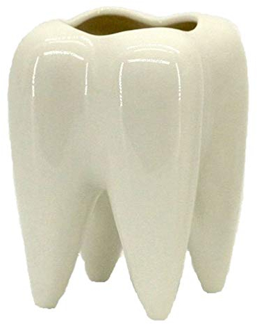 Easyinsmile Zähne geformte Molar Vase weiße Keramik Sukkulenten Pflanztöpfe Blume Pflanzgefäße Kreative Desktop Stifthalter
